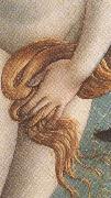 Sandro Botticelli The Birth of Venus (mk36) painting